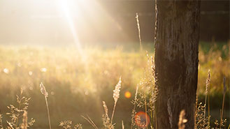 先进且具有开创性的免费ddos在线攻击