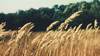 免费cc攻击测试